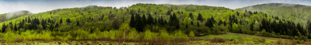 istock panorama of the Carpathian mountains 1191932233