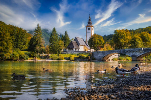 vista cénico da igreja do lago bohinj com folha colorida bonita, slovenia - bohinj - fotografias e filmes do acervo