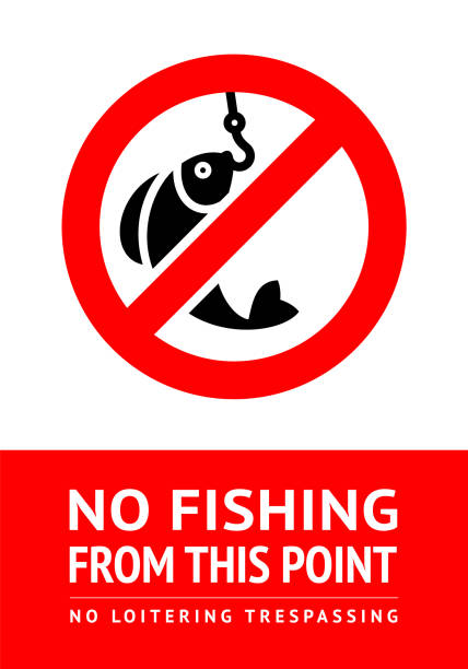 etykieta brak połowów, ilustracja wektorowa gotowa do druku - no fishing stock illustrations