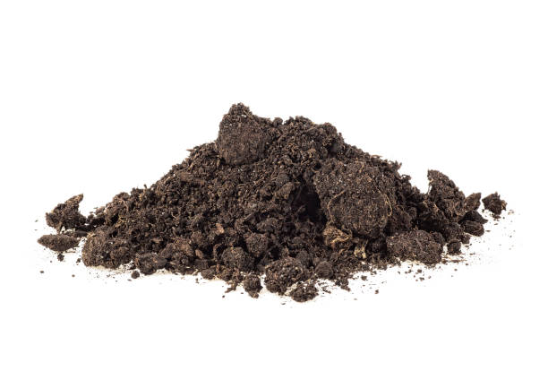 istock Heap of soil on a white background 1191936840