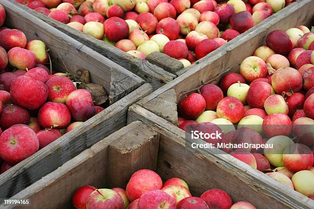 Manzanas Foto de stock y más banco de imágenes de Pomar - Huerta - Pomar - Huerta, Otoño, Casa rural