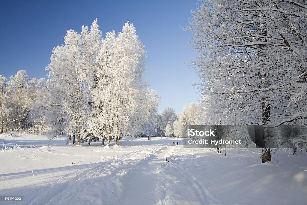 Winter park in snow Agricultural Field Stock Photo