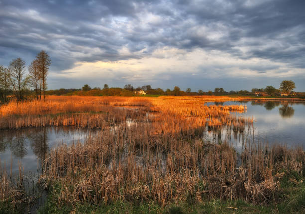 istock picturesque spring dawn. morning river 1191943487