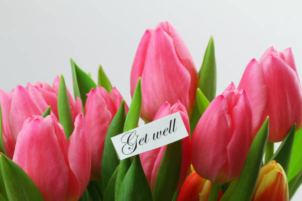 istock Get well card with pink tulips on white background 1191947263