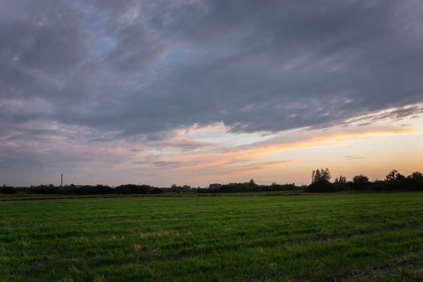 istock Green field, horizon and clouds on the sky after sunset 1191947890