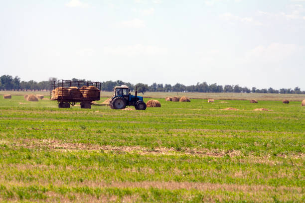 istock Tractor loading hay bales on truck agricultural works 1191951235