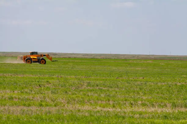 An agricultural tractor loader loads bales of hay into a tractor trailer on the field