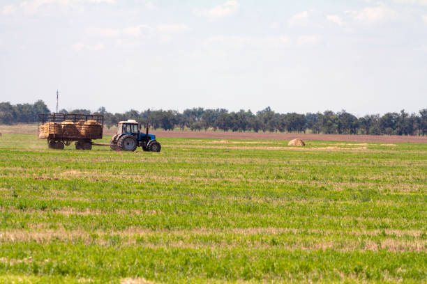 istock Tractor loading hay bales on truck agricultural works 1191951977
