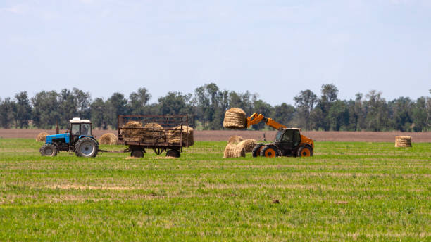 istock Tractor loading hay bales on truck agricultural works 1191952152