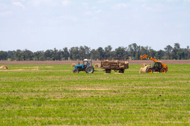 istock Tractor loading hay bales on truck agricultural works 1191952175