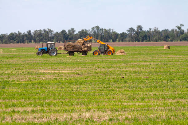 istock Tractor loading hay bales on truck agricultural works 1191952365