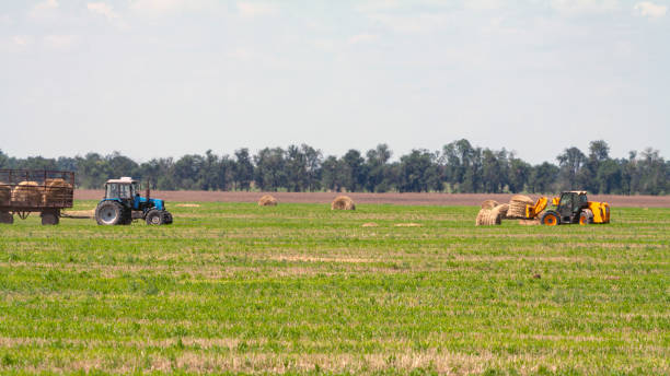 istock Tractor loading hay bales on truck agricultural works 1191952437