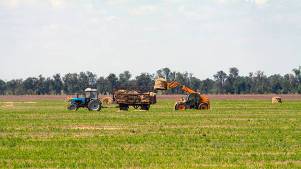 istock Tractor loading hay bales on truck agricultural works 1191952454