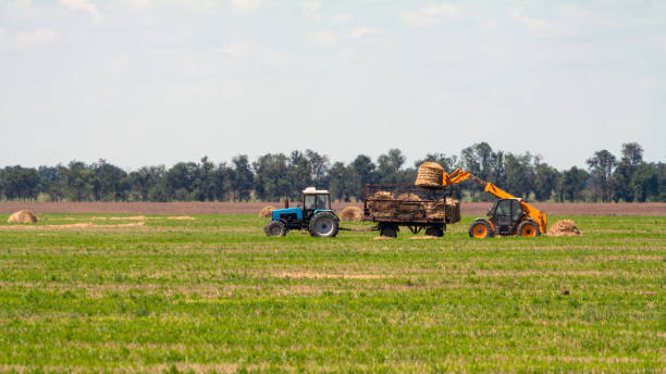 istock Tractor loading hay bales on truck agricultural works 1191953002