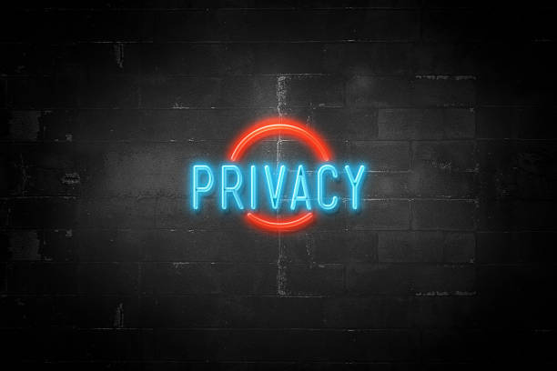 istock Privacy Message on Flickering Neon Sign 1191959457