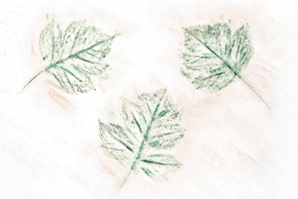 Texture of pencil plant patterns and lines. Stylish background for design, décor, cover, flyer, poster, wallpaper.