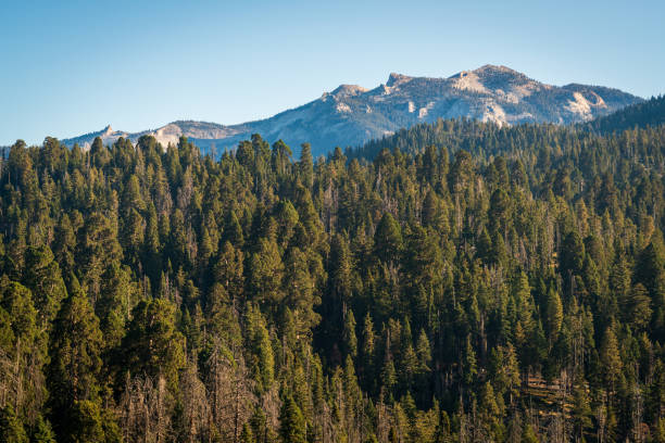 istock Moro Rock at Sequoia National Park 1191960074