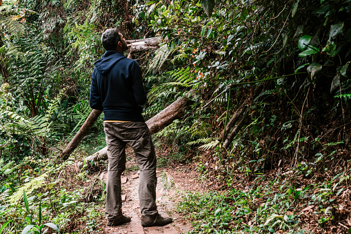 A man in long brown trousers and a navy hoodie stands on a path in the rainforest in Cameron Highlands.