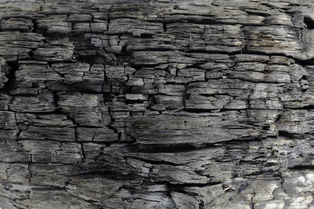istock burned wood close up 1191962269