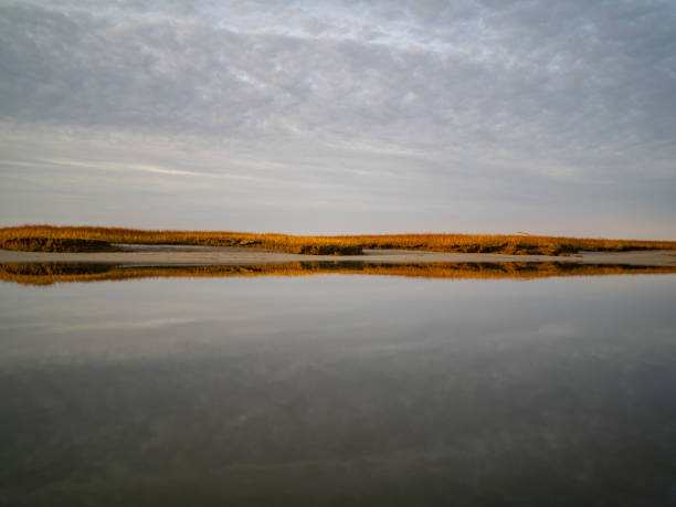 istock Reflections Off Calm Waters On a Salt Marsh 1191968940