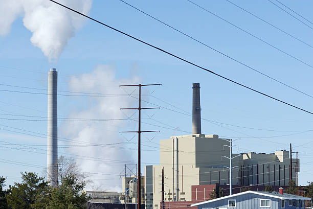 istock Power Lines and Plant 119197030