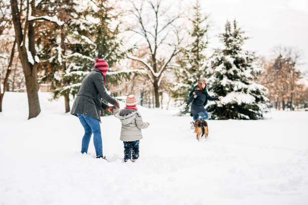 istock Playing with dog in snow 1191971484