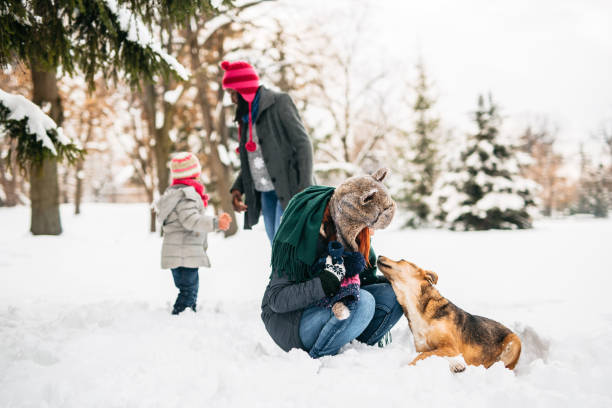 Playing with dog in snow