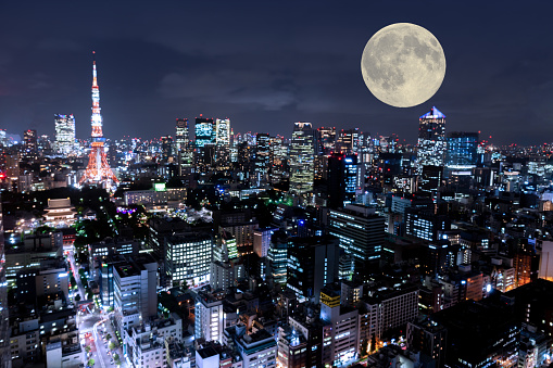 Night view of Tokyo urban area.