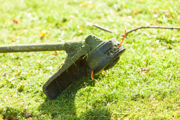 istock Mower brushcutter on green grass 1191974852