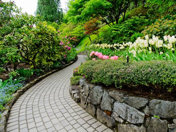 giardino primaverile - landscaped spring canada footpath foto e immagini stock