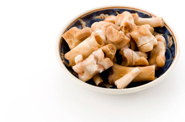 istock Cooked pork leg bones, leftover food. 1191976655