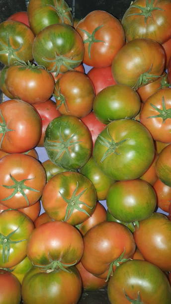 istock Mediterranean food beyond Latin America 1191979351