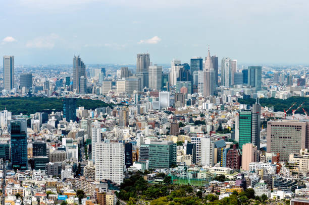 istock Tokyo urban cityscape 1191980810