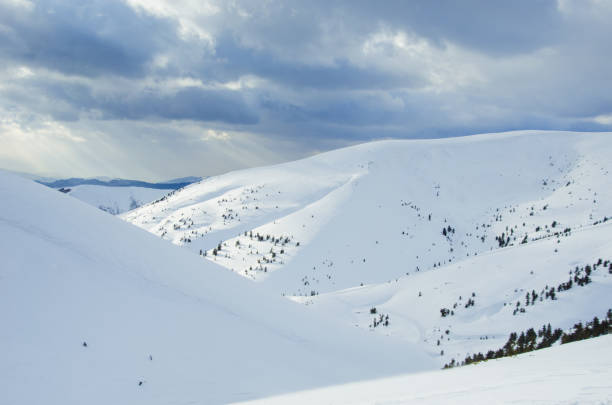 carpathian mountains in winter, covered with snow - dragobrat imagens e fotografias de stock