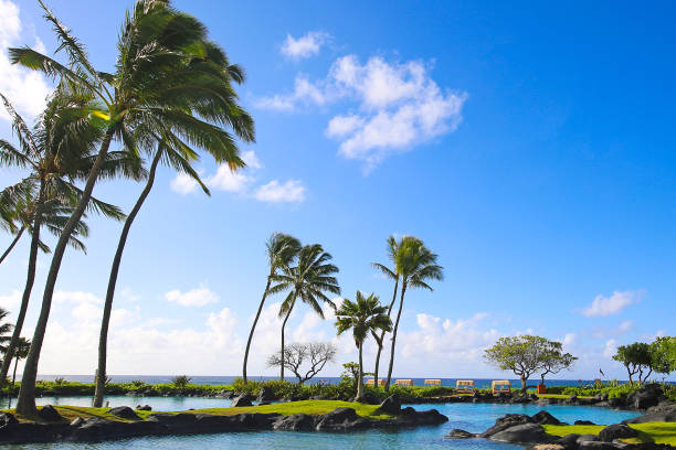 istock Hawaii Kauai Lagoon 1191993022
