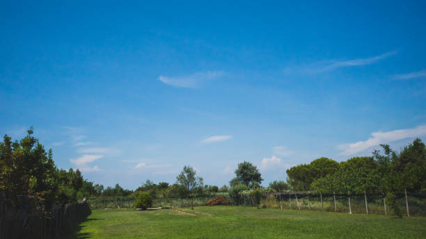 istock Empty field on island of Torcello, Venice, Italy 1191999015