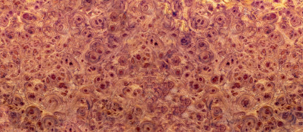 istock Nature burl wood striped texture 1191999682