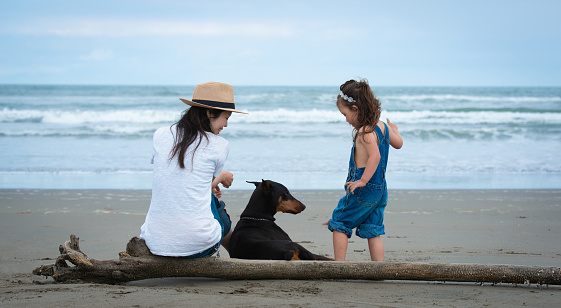 Mother and daughter and the Doberman to play on the beach