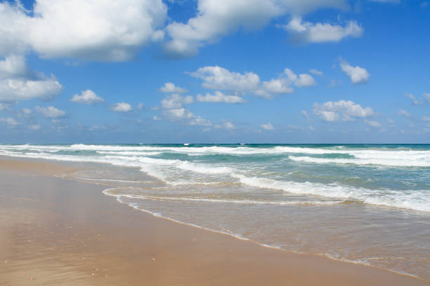 istock Sea foam on the sandy beach at Bat Yam, Israel 1192004672