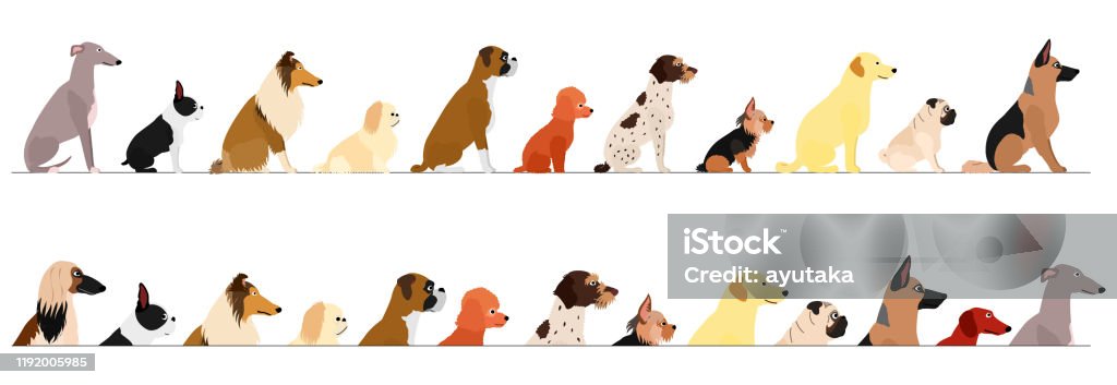 set of  side view small and large dogs border set of  side view  small and large dogs border Dog stock vector