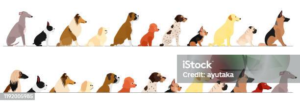 Set Of Side View Small And Large Dogs Border Stock Illustration - Download Image Now - Dog, Sitting, Illustration