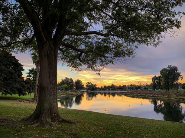 Colorado Lagoon is a wetland area surrounded by parks and golf courses, with a sandy beach, playground, picnic tables & seasonal model-boat activities. A pedestrian bridge crosses the lagoon to connect the two beach areas. Taken on an iPhone Xs Plus at sunset in early December after a rain storm.