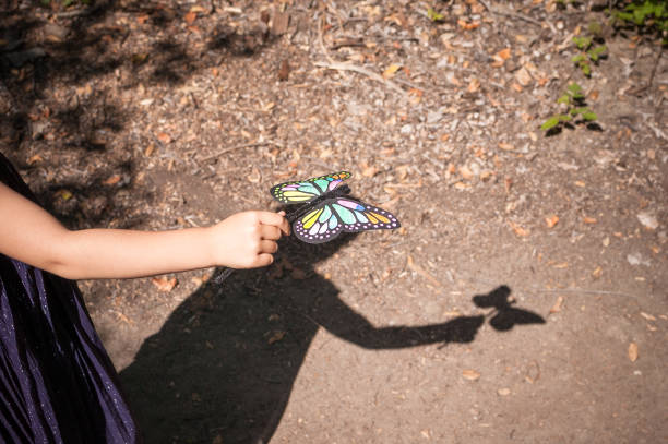 Shadow of young girl playing with her toy butterfly outdoors stock photo
