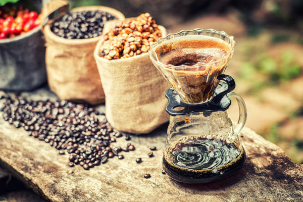 Robusta, Arabica, coffee berries, coffee beans. stock photo