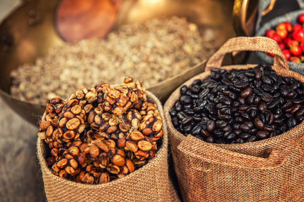 istock Robusta, Arabica, coffee berries, coffee beans. 1192011720