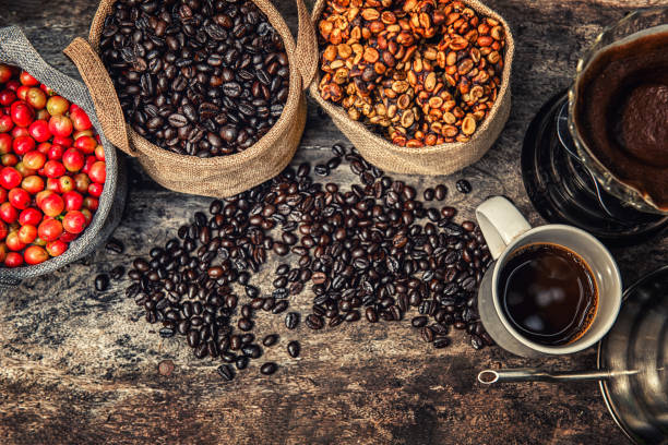 Robusta, Arabica, coffee berries, coffee beans. stock photo