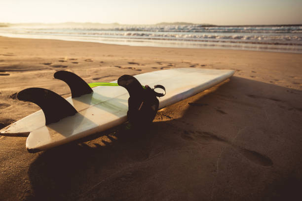 istock Surfboard on sandy beach in the sunrise 1192012514