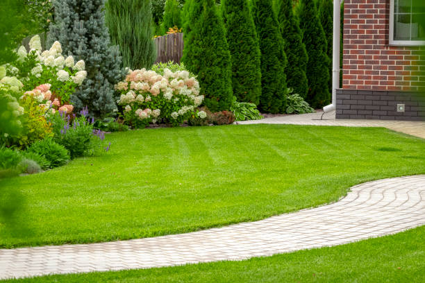 freshly cut grass - fence front or back yard flower ornamental garden imagens e fotografias de stock