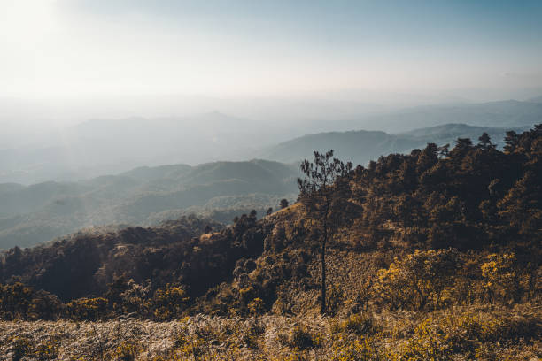 istock landscape mountains forests sky in the evening sunset 1192016197