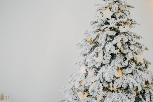 istock Christmas decorations on Christmas tree with lights 1192023455